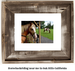 horseback riding near me in Oak Hills, California